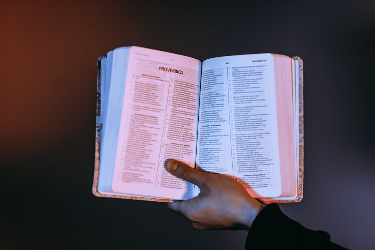 A person holds an open Bible with Proverbs highlighted, bathed in warm light.